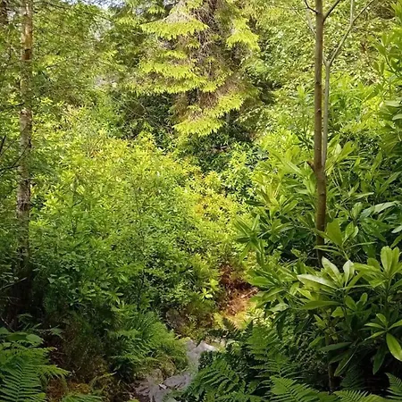 Apartmán Luxury Stunning Views - *