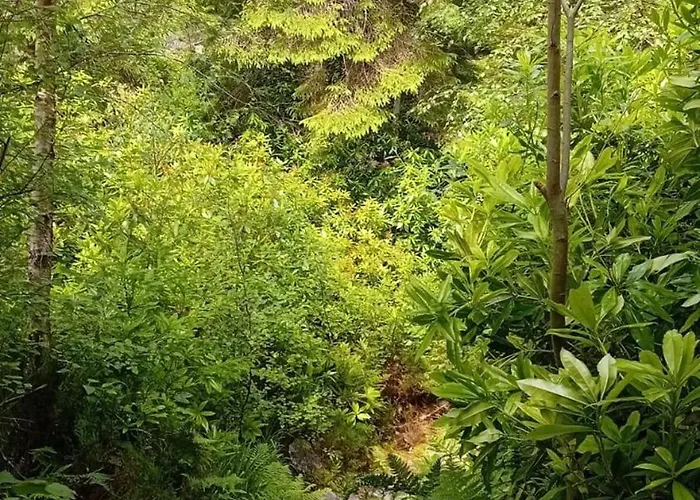 Appartement Luxury Stunning Views - *